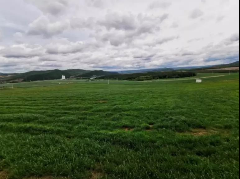 5d5a1f2a61f01.jpg news19018-1.jpg