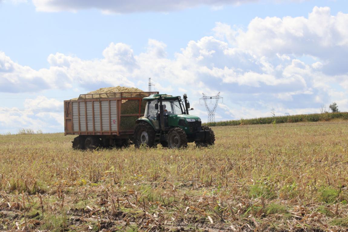 5d8c5d4052ba2.jpg news19029-1.jpg