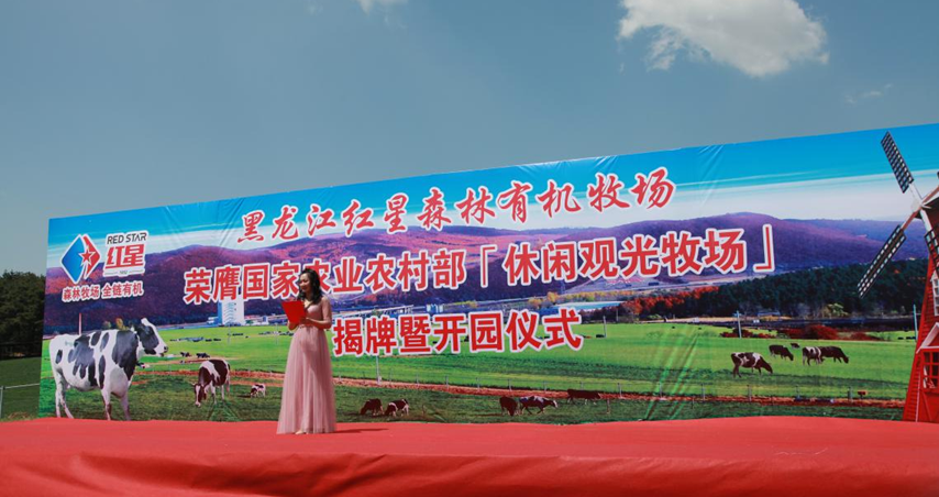 5dad581a401f3.png 5.png