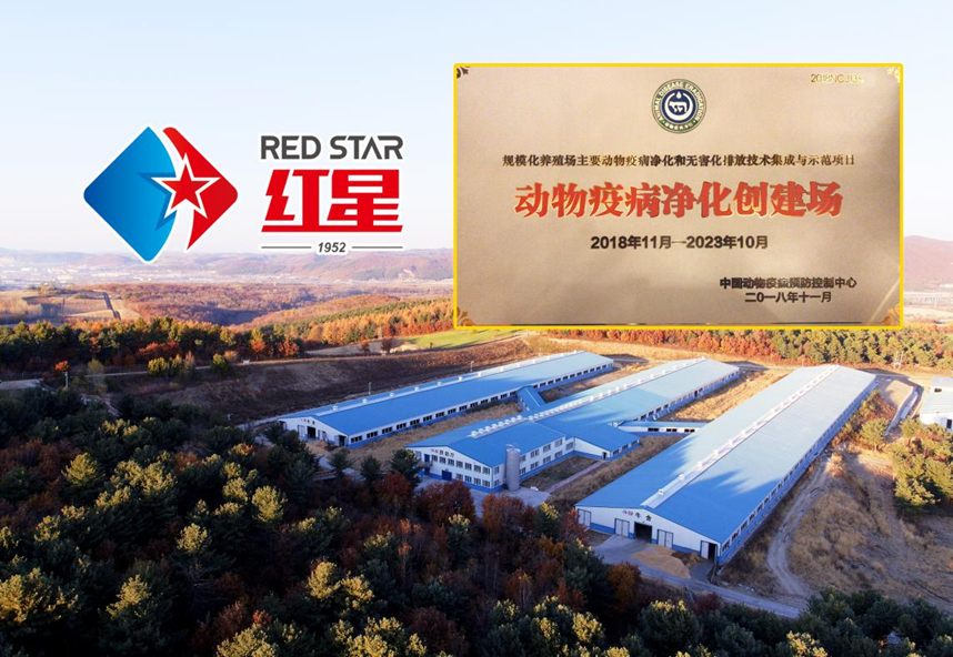 5dad588815273.png 7.png