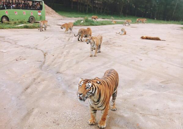 5dbd87cf6f3f2.jpg 2.jpg