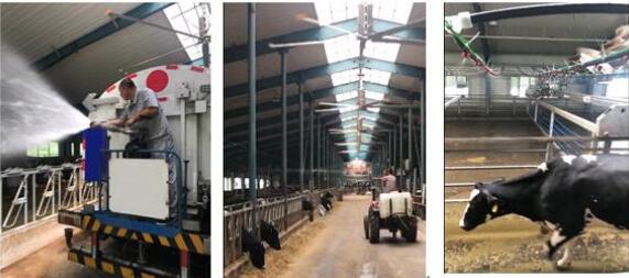 5dbd948f0dad8.jpg 2.jpg