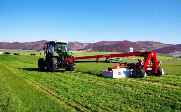 5dbd9e3303362.jpg 6.jpg