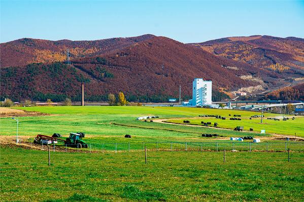 5dbdbbf31353b.jpg 5.jpg