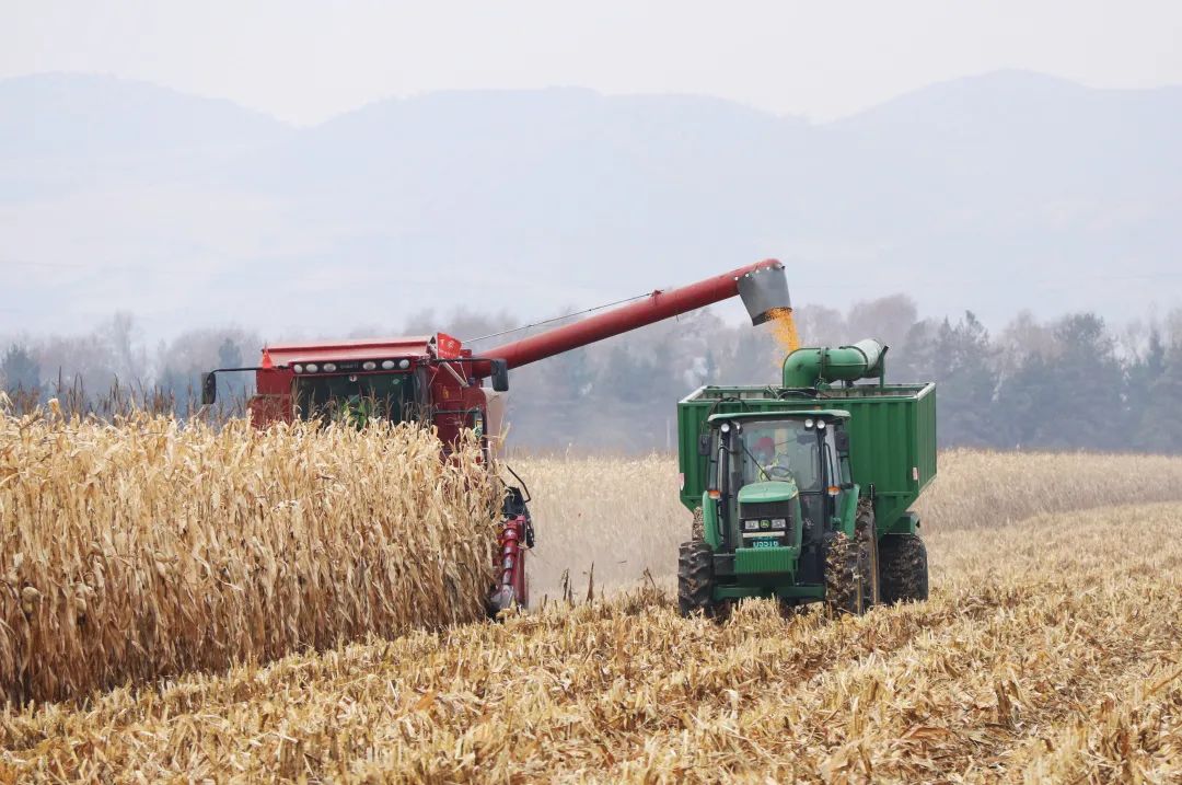 637309a3e9654.jpg 微信圖片_20221115113444.jpg