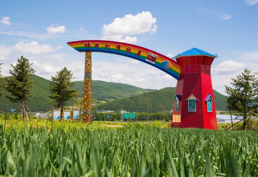 637314647d587.jpg 微信圖片_20221115115222.jpg