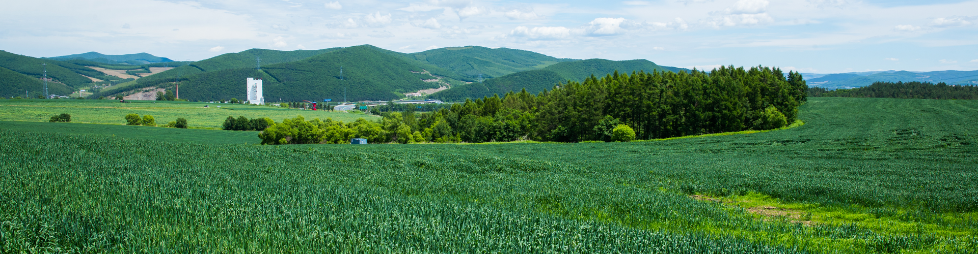 64002cca14857.png 草場(chǎng)2.png